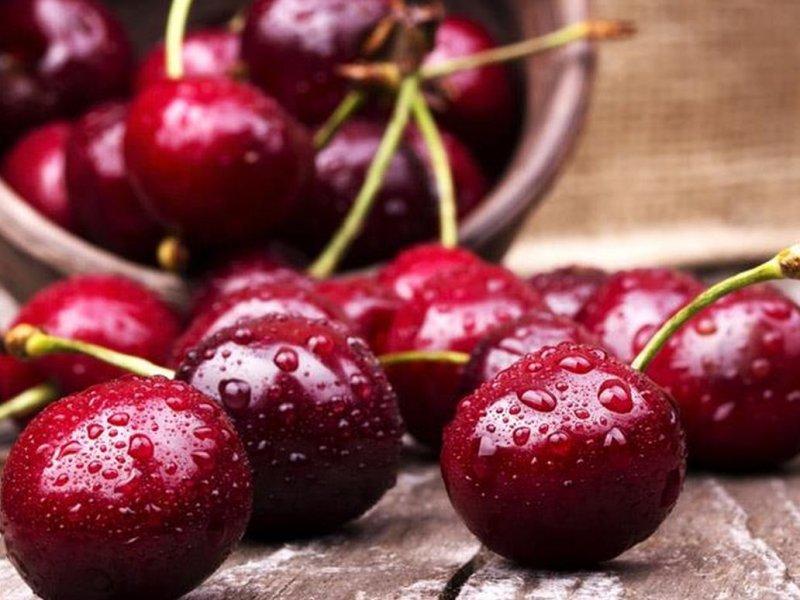 Вишня купить саженцы из питомника в Чайковском
